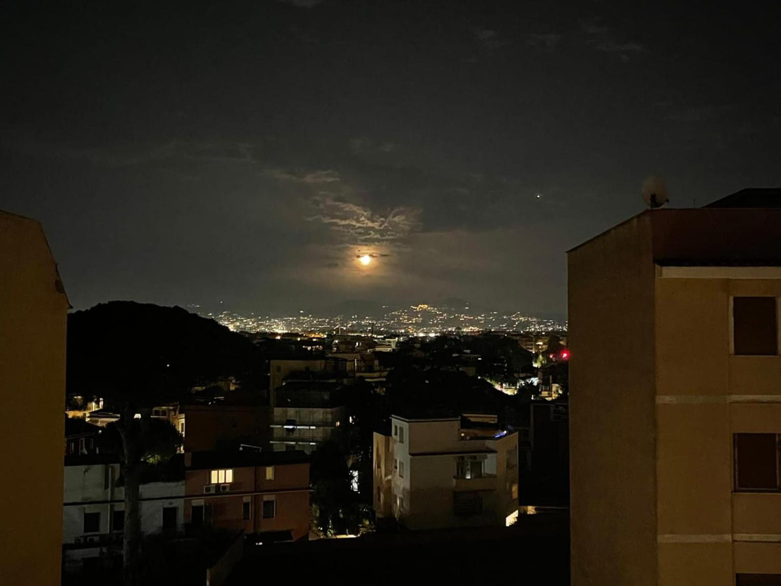 Apartment View House 